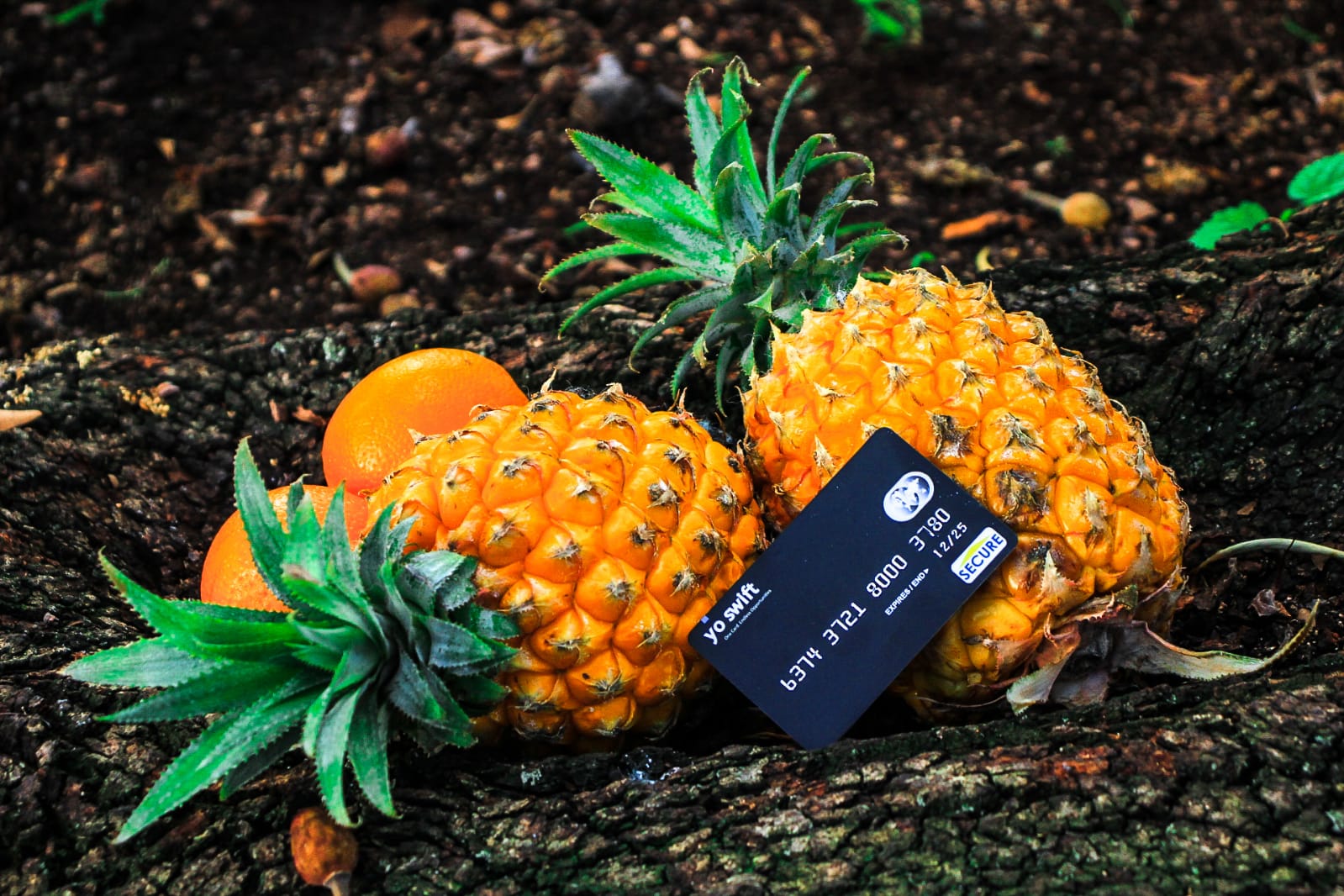 PayPal card South Africa
